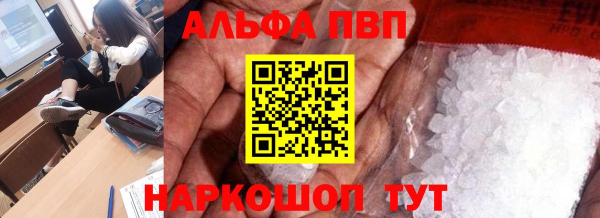 A PVP СК КРИС  Вход с VPN  Щёкино  Альфа ПВП  APVP СК 